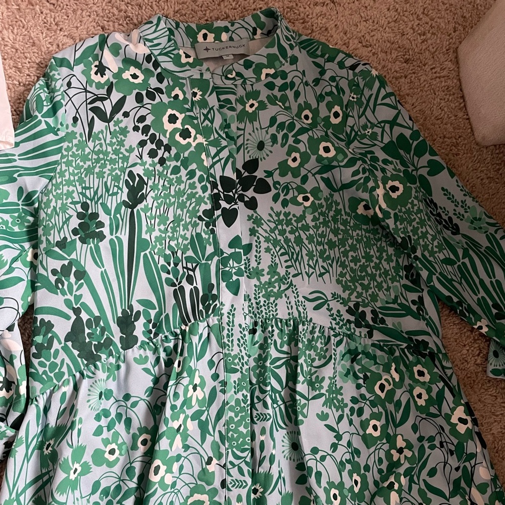 Tuckernuck royal shirt dress
